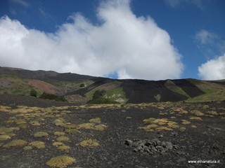 Monte_Nero_delle_Concazze - 30-06-2013 09-49-53.JPG